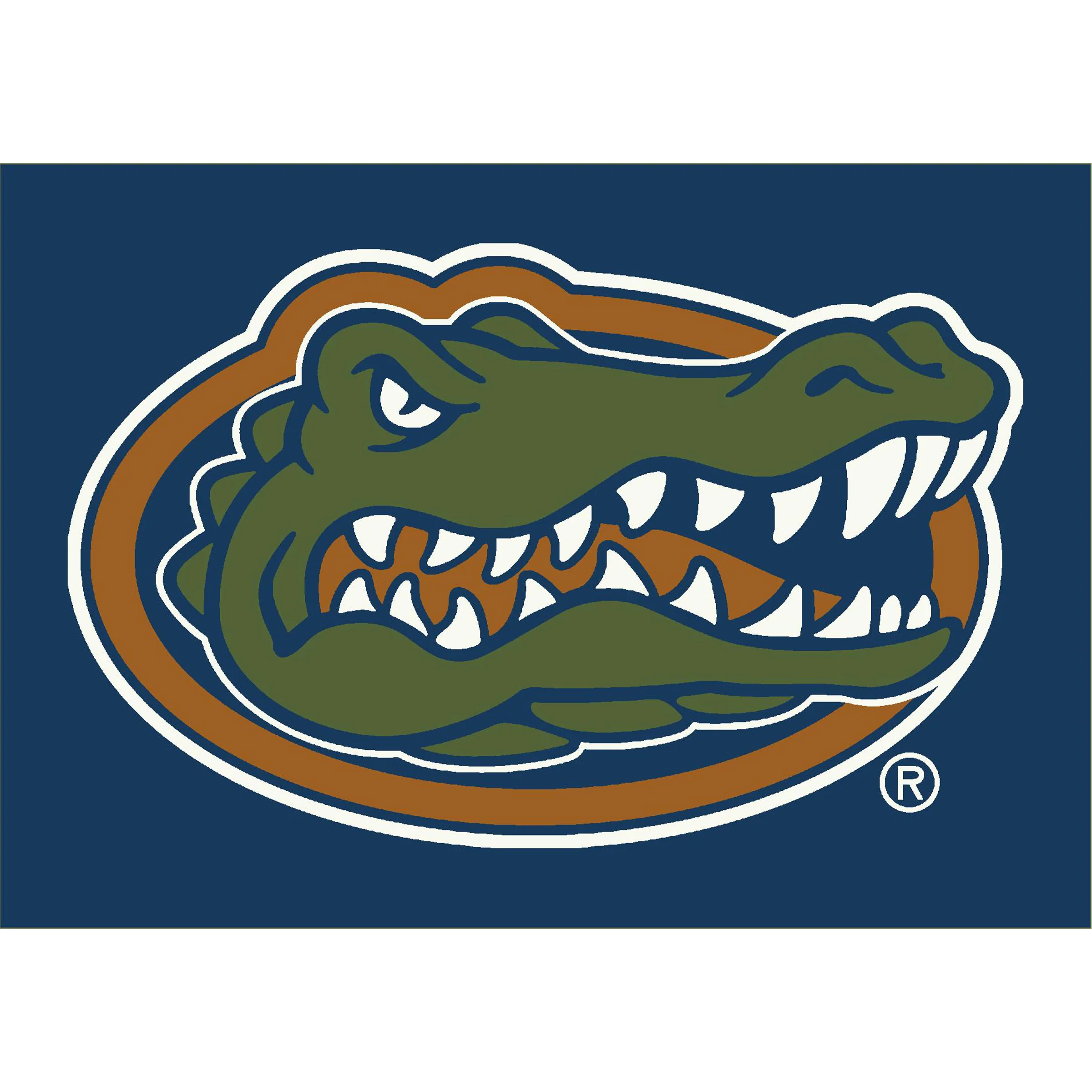 NCAA Team Spirit Rugs - Image 10