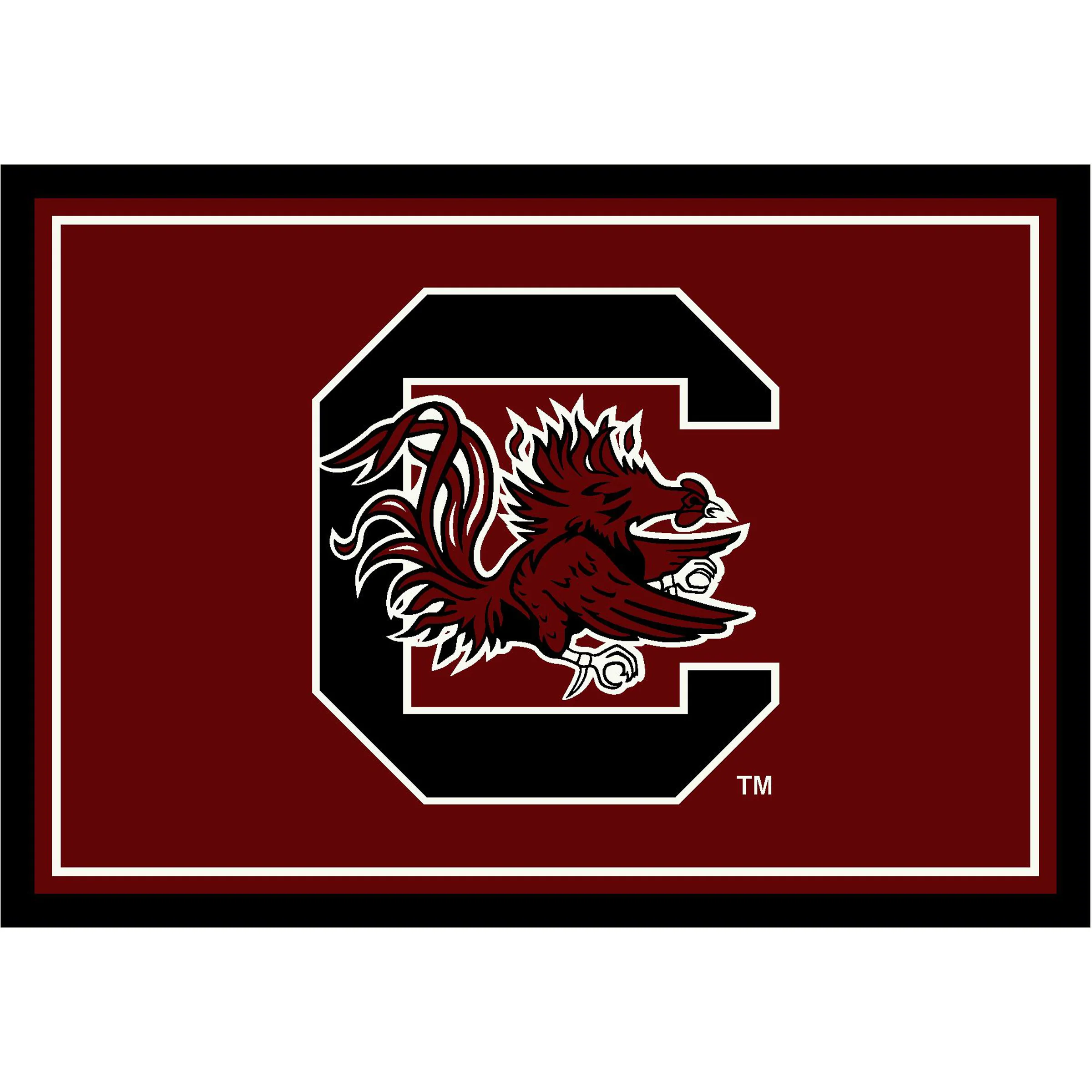 NCAA Team Spirit Rugs - Image 11