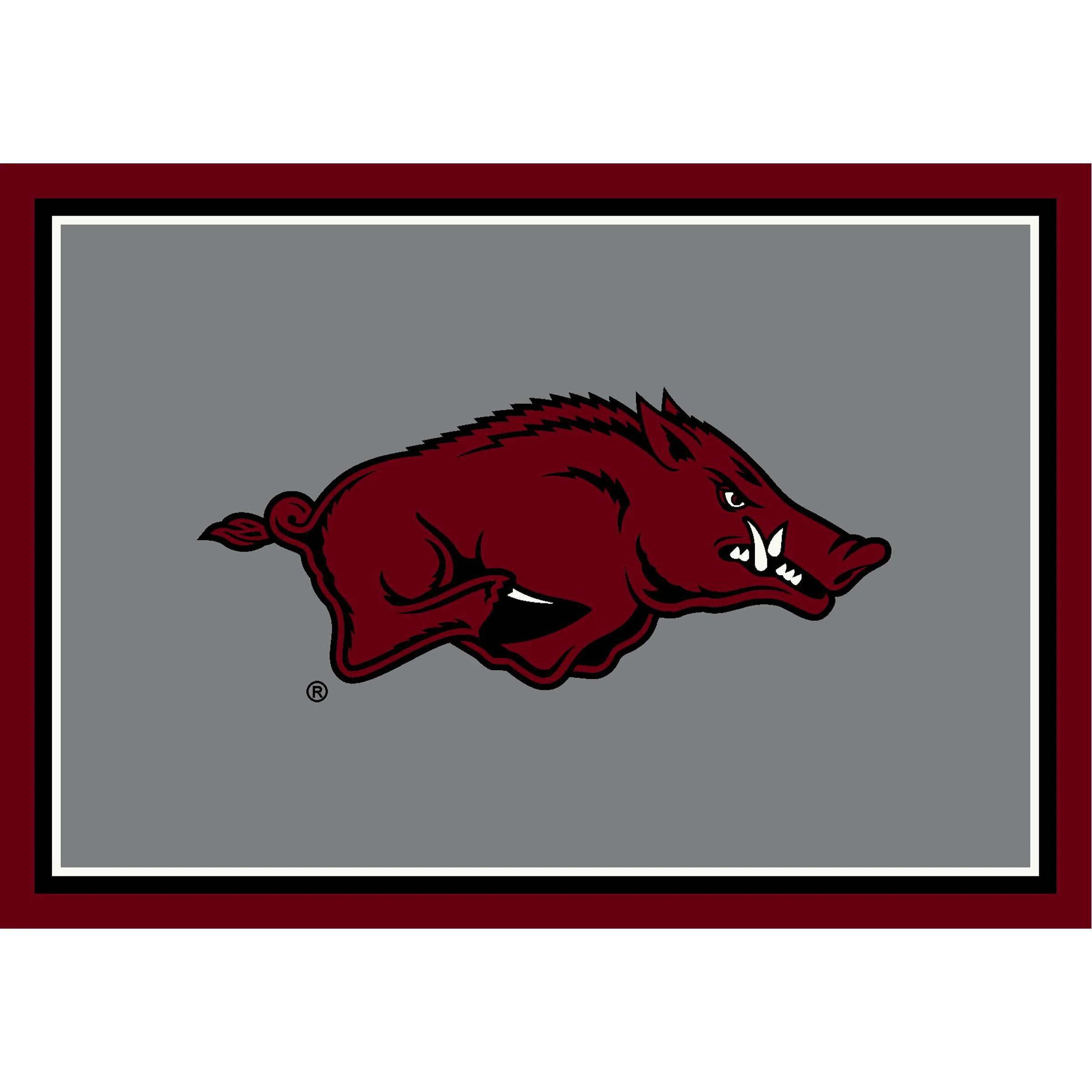 NCAA Team Spirit Rugs - Image 19