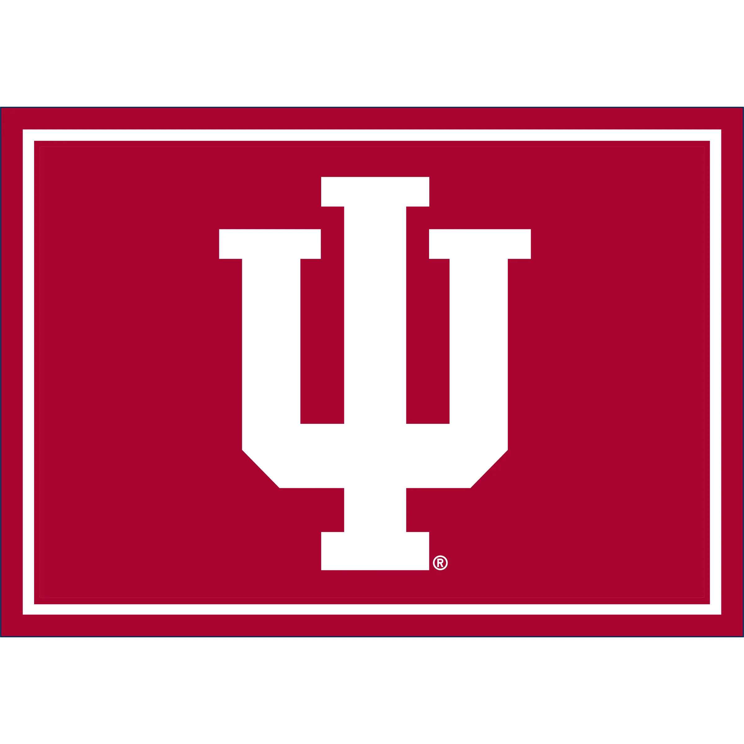 NCAA Team Spirit Rugs - Image 21