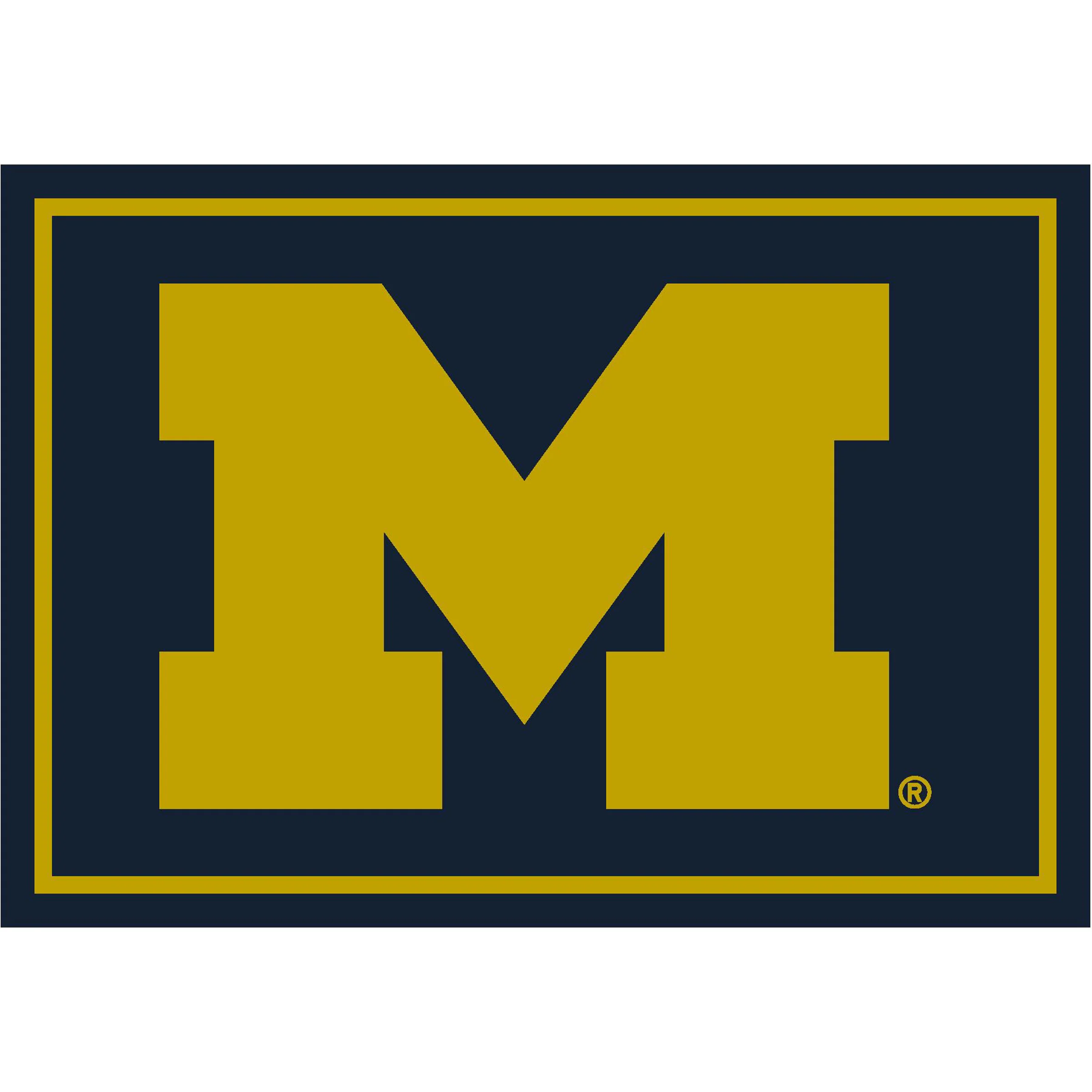NCAA Team Spirit Rugs - Image 26