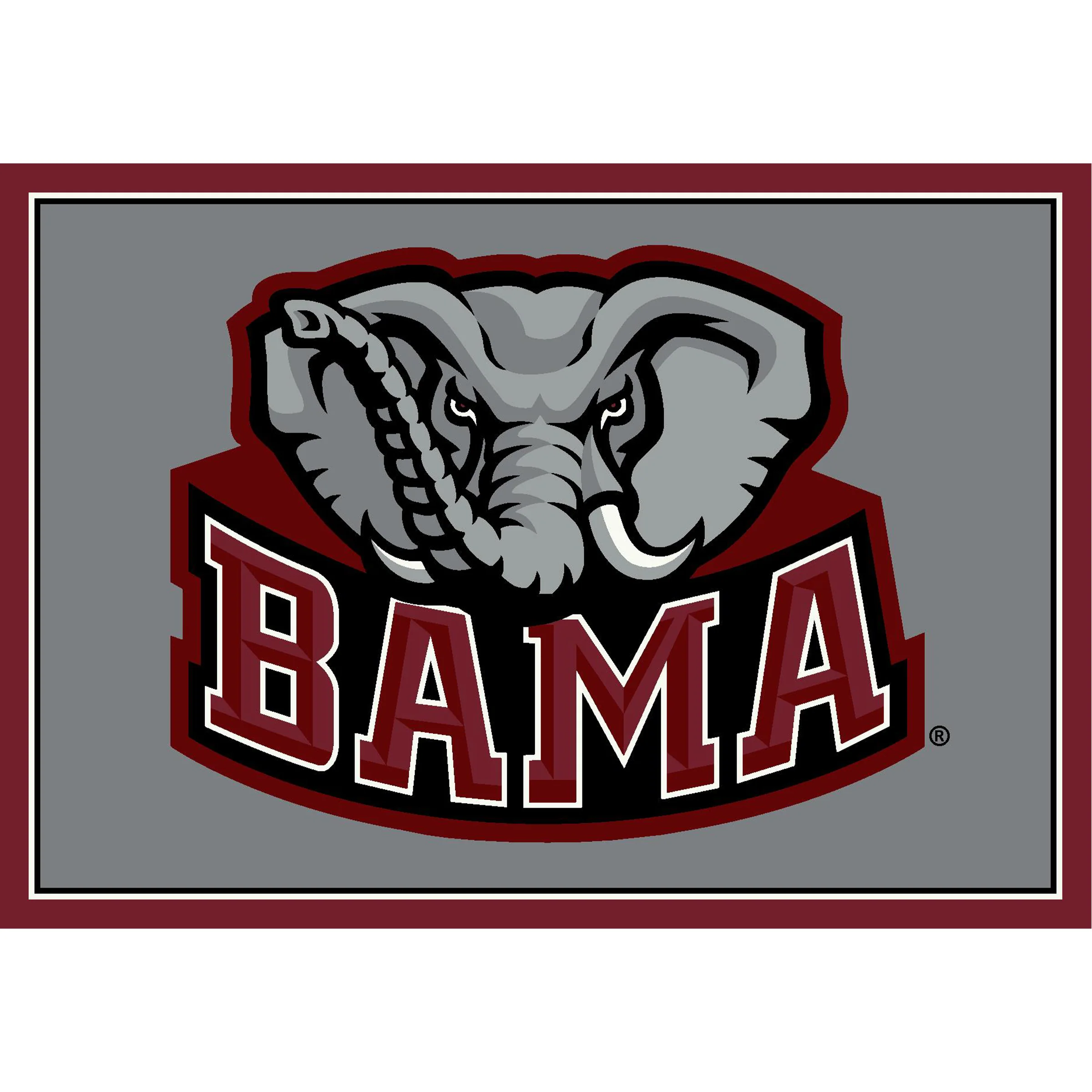 NCAA Team Spirit Rugs - Image 5